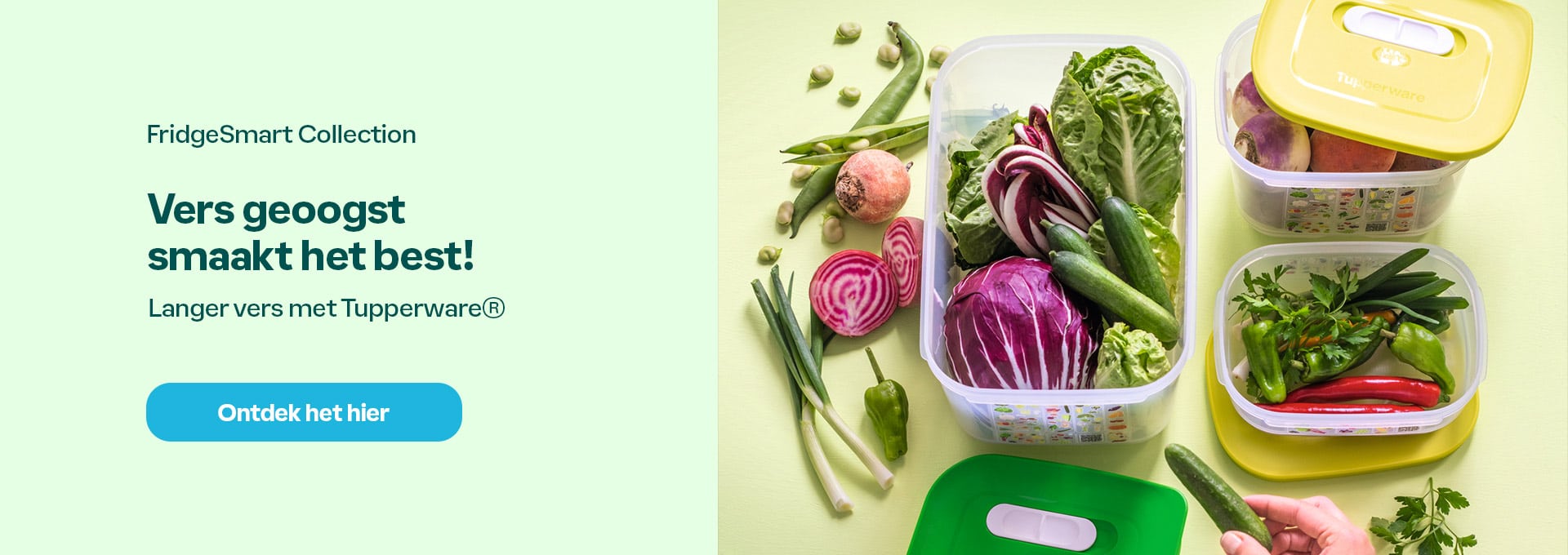 Vers geoogst smaakt het best met Tupperware